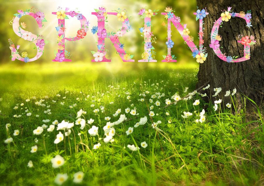 Things to Do This Spring Season!