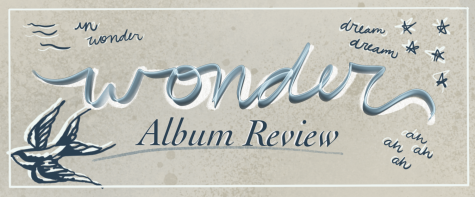 Shawn Mendes Wonder: A Review