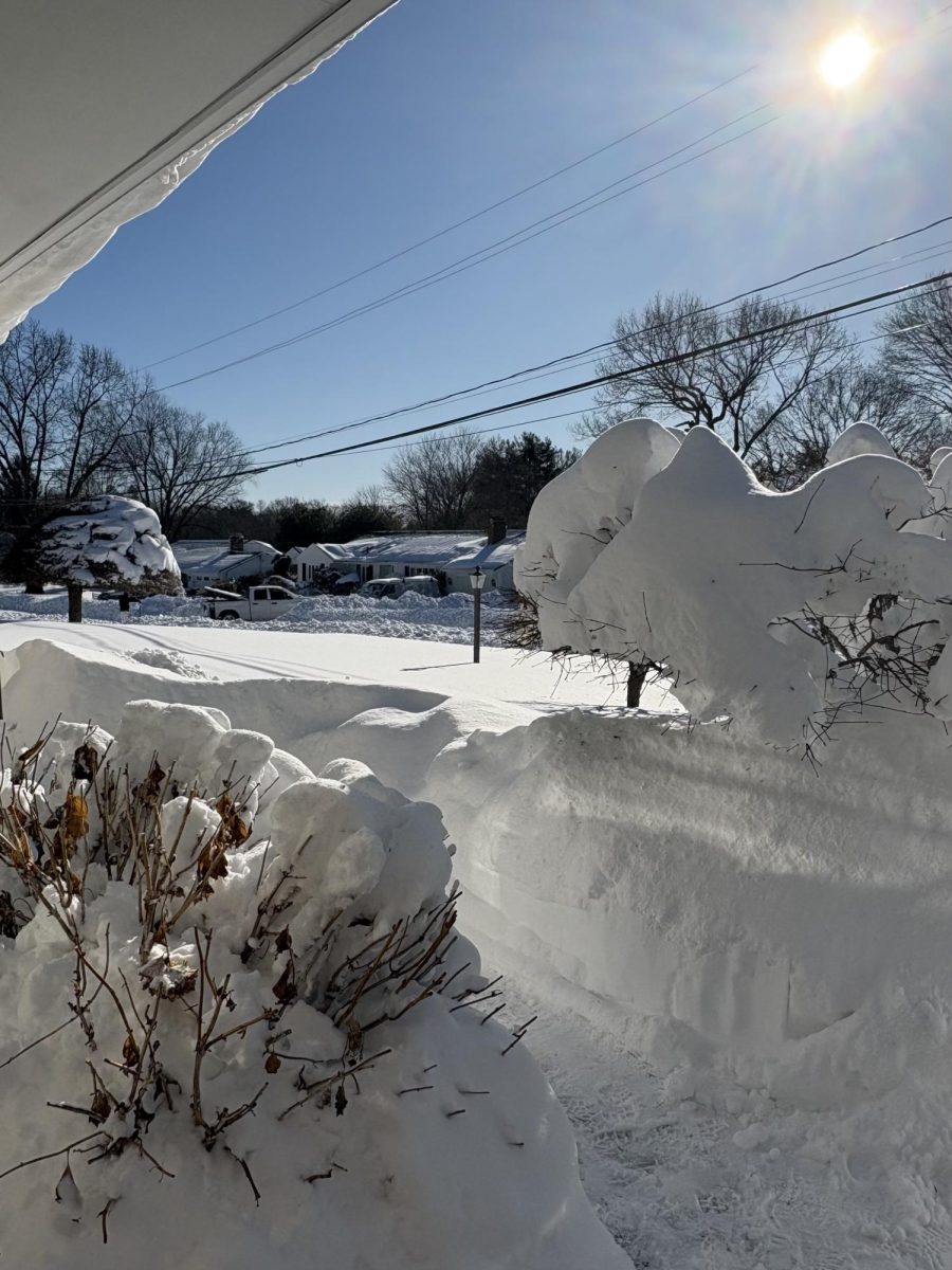 Snow Days or Virtual Learning? NPHS's Take